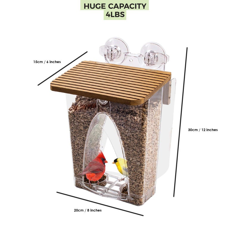 Roamwild Beautiful Arch Window Wild Bird Feeder with Huge 4LBS Capacity & Ultra Strong Dual Suction Technology for Outdoors with Drainage Holes & Window Protectors - Image 5